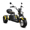 Электроскутер Siberton Pro Trike Max 3950W 60V/35Ah