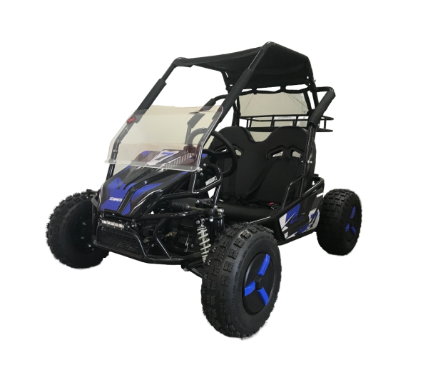 Багги SCANMOTO RAPID II